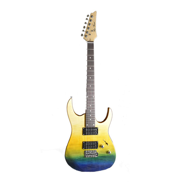 Electric Guitar RFEGI-904/D