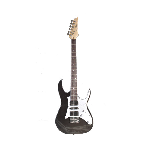 Electric Guitar RFIB-150