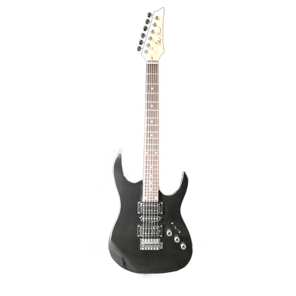 Electric Guitar RFIB-170