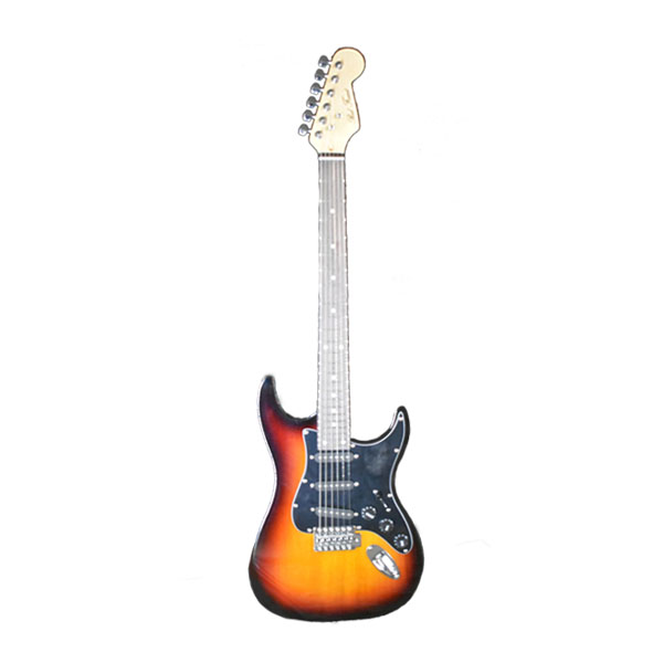 Electric Guitar RFST-24