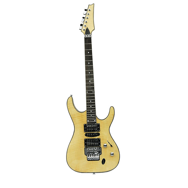 Electric Guitar RFG-205