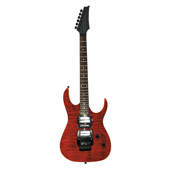  Electric Guitar RFG-206