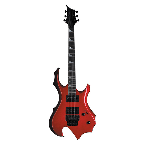 Electric Guitar RFG-209