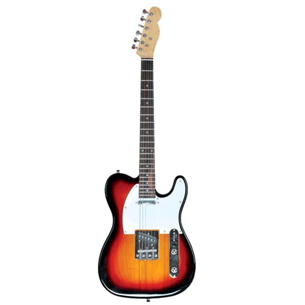 Electric Guitar RFG-309