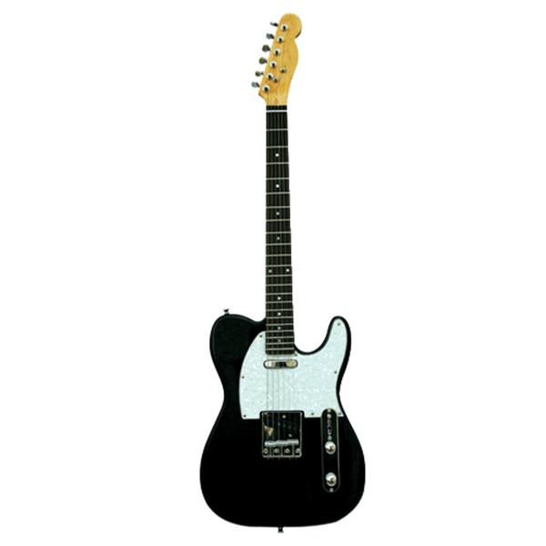 Electric Guitar RFG-310