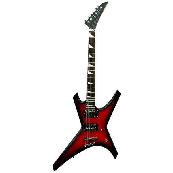 Electric Guitar RFG-313