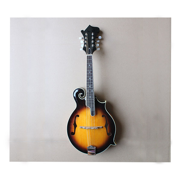 Acoustic guitar RFM-101